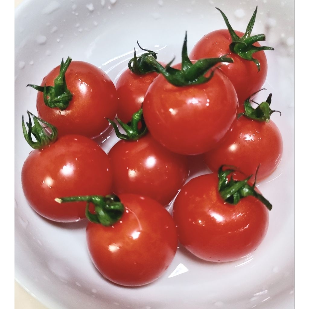 เมล็ดมะเขือเทศญี่ปุ่น Aiko รสชาติหวานอร่อยที่สุด Aiko red cherry tomato