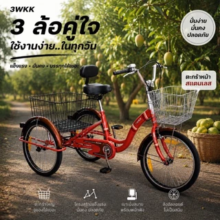 (ส่งเป็นคัน) จักรยาน3ล้อผู้ใหญ่ 3wkk รุ่น บราวนี่ 20 นิ้ว ***NEW 2026 ตะกร้าหน้าสแตนเลส อานพนักพิง ล้ออัลลอยด์