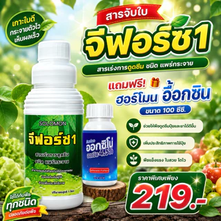 จีฟอร์ซวัน สารจับใบ 1ลิตร แถมฮอร์โมนอ๊อกซิน100ซีซี ช่วยเพิ่มประสิทธิภาพ ปุ๋ยน้ำ ที่ผสมร่วม 1ลิตร