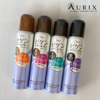 สเปรย์ปิดผมขาว แบบเร่งด่วน ย้อมผมชั่วคราว Bigen Color Spray ล้างออกได้