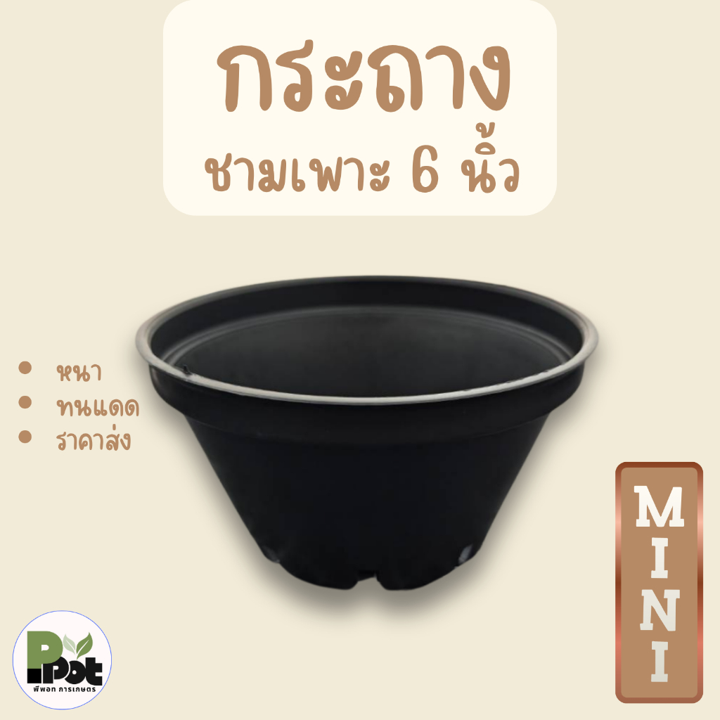 กระถางต้นไม้ รุ่นชามเพาะ ไซส์ 6 นิ้ว กระถางมินิมอลทรงถ้วยชามเตี้ย มีสีขาว ดำ อิฐ