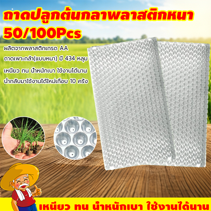 ถาดเพาะกล้านาโยน 434 หลุม แบบหนา พลาสติก PP แข็งแรง ใช้เพาะเมล็ดข้าว ระบายน้ำดี ใช้ซ้ำได้ 50/100 แผ่น
