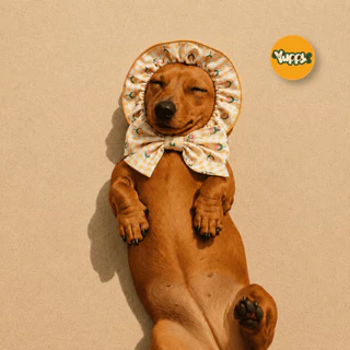 สินค้าพร้อมส่ง YUPPY! Snood For Dog and Cat ผ้าคลุมหูสัตว์เลี้ยง สำหรับ หมาและแมว เสื้อผ้าสัตว์เลี้ยง