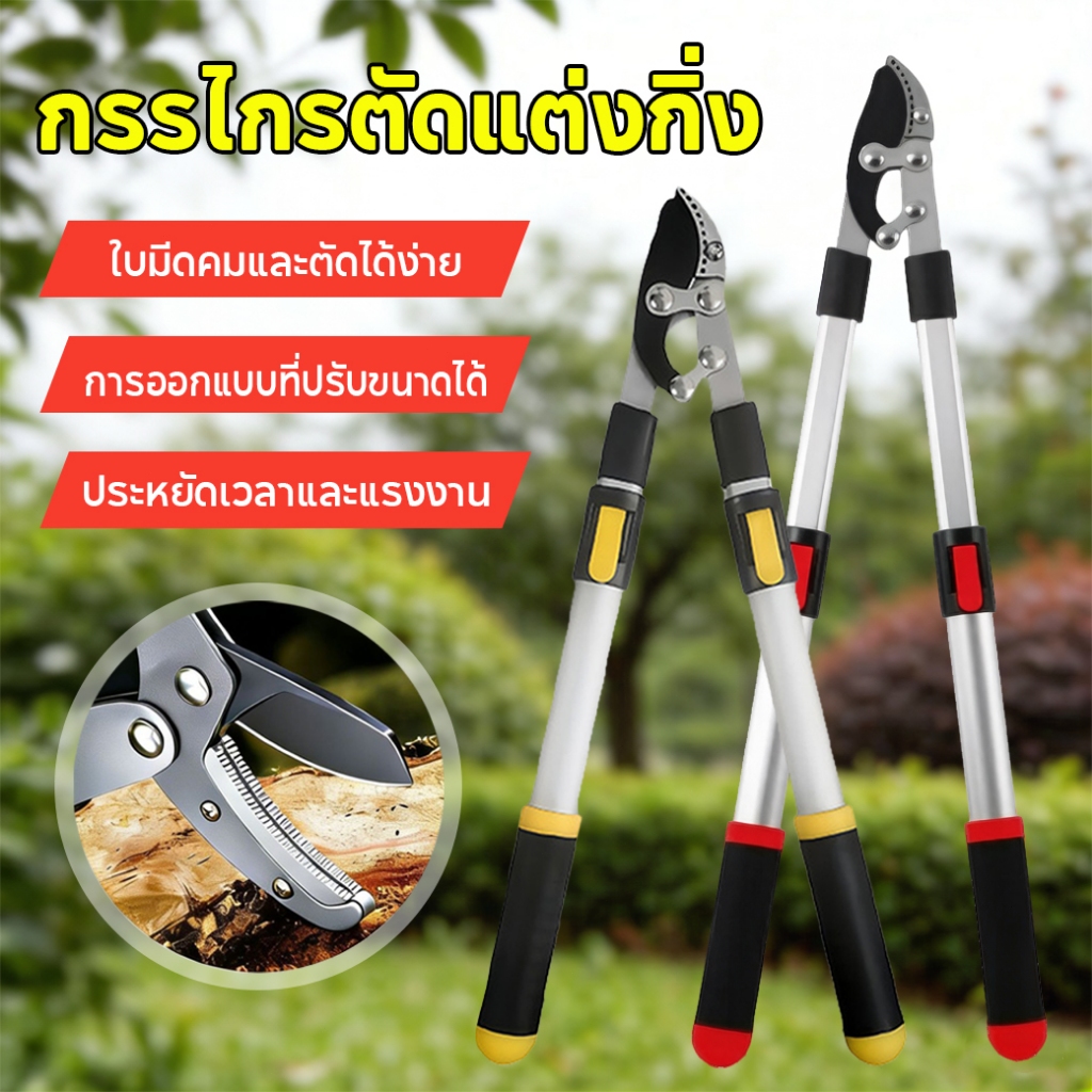 กรรไกรตัดแต่งกิ่งไม้ ปรับความยาวได้ 50-70 ซม. ผลิตจากวัสดุ SK5 แข็งแรง คม และทนทาน เหมาะสำหรับการตัดแต่งกิ่งไม้ผลและงานจ