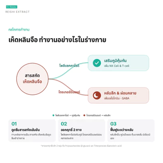 Hi-Balanz Reishi Extract สารสกัดจากเห็ดหลินจือ 1 กล่อง 30 แคปซูล