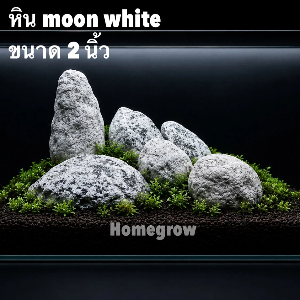 หิน moon white ขนาดใหญ่ 2นิ้ว ตกแต่งกระถาง งานศิลปะ ตกแต่งตู้ปลา กระถางต้นไม้ หน้ากระถาง