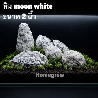 หิน moon white ขนาดใหญ่ 2นิ้ว ตกแต่งกระถาง งานศิลปะ ตกแต่งตู้ปลา กระถางต้นไม้ หน้ากระถาง