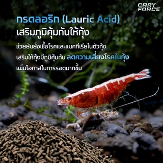 อาหารกุ้งแคระ กุ้งเครย์ฟิช เม็ดจม โตไว ลอกคราบถี่ │CRAYFORCE