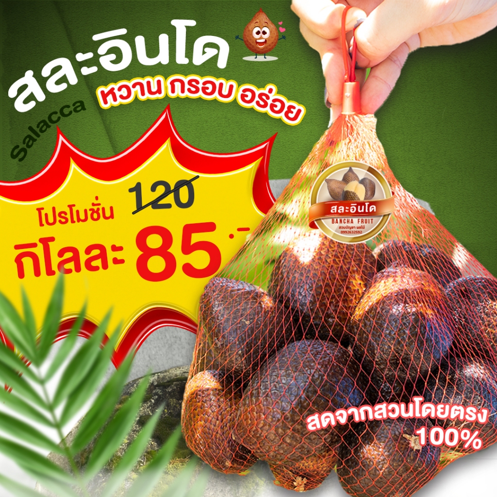 สละอินโด สดจากสวน หวานกรอบอร่อย  (ปลอดสารเคมี) 1 กิโลกรัม