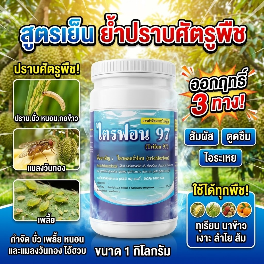 ไตรคลอร์ฟอน 97% เอสพี  ไตรฟอน97  ขนาด 1 กิโลกรัม ตรา กิเลนฟ้า กำจัด บั่ว เพลี้ย หนอน และแมลงวันทอง ไอ้ฮวบ