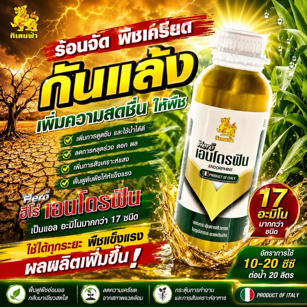 เอนโดรฟิน ขนาด 500 ซีซี อมิโนเข้มข้น ช่วยให้พืชติดดอก ลดสภาวะพืชเครียด