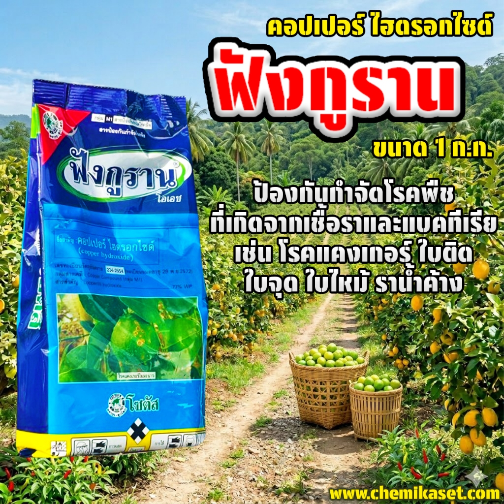ฟังกูราน ขนาด 1 ก.ก. (สารคอปเปอร์ไฮดรอกไซด์) ใช้ป้องกันกำจัดเชื้อรา แบคทีเรีย และโรคพืช