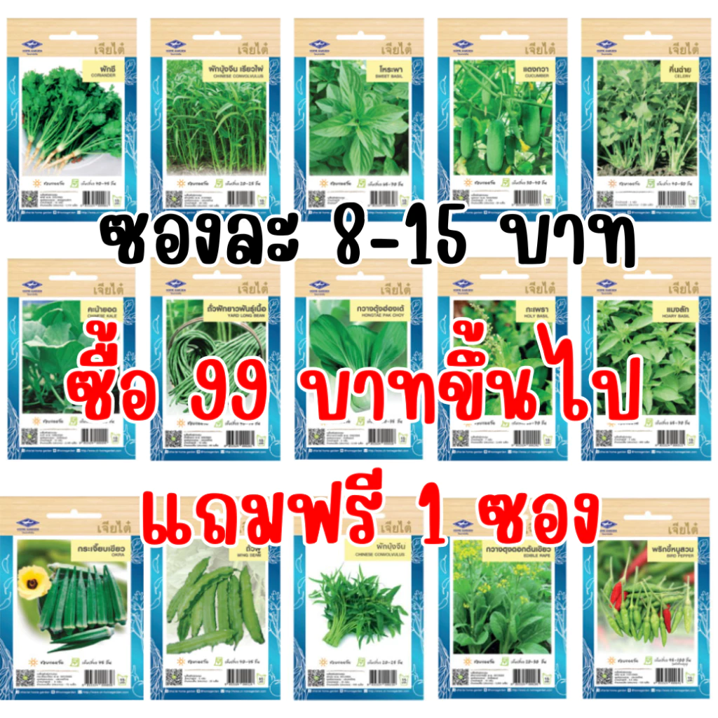 เมล็ดผักเจียไต๋ OP ของแท้ ซองละ 8-15 บาท ซื้อยอด 99 บาทขึ้นไปแถมฟรี 1 ซอง - รูปที่ 1