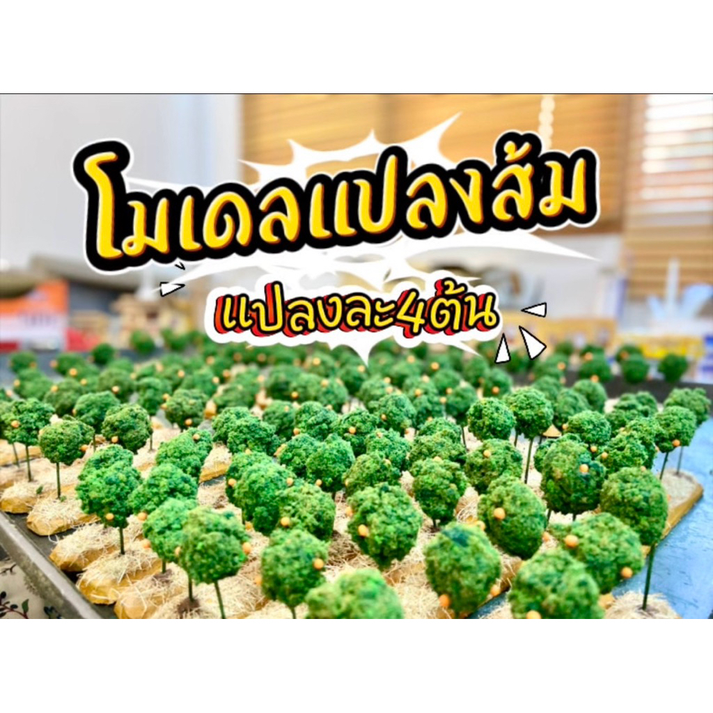 โมเดลผลไม้ส้ม โมเดลแปลงส้ม แปลงละ4ต้น โมเดลต้นส้ม โมเดลผลไม้ส้ม