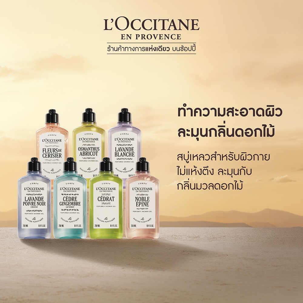 L’Occitane Perfumed Shower Gel เจลอาบน้ำกลิ่นหอมละมุน