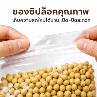 ถั่วเหลือง Soybeans ชนิดคัดพิเศษ เม็ดอวบสวย | Natural & Protein | ทำน้ำเต้าหู้โฮมเมด/เต้าหู้ขาว/นมถั่วเหลือง/เทมเป้