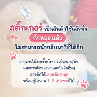 สติ๊กเกอร์ สำหรับแปะ เท้าสุนัข กันลื่น สำหรับเดินในบ้าน (1 ชุดมี 4 ชิ้น + แถมแผ่นแอลกอฮอล์สำหรับเช็ดอุ้งเท้า)