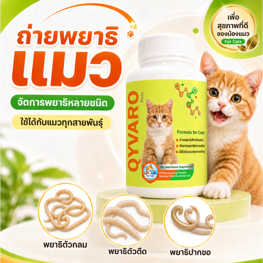 Qyvaro ถ่ายพยาธิแมว ครบทุกชนิด ลูกแมว แมวโต ทุกสายพันธุ์ กินง่าย ทุก 3 เดือน ปลอดภัย 10 เม็ด