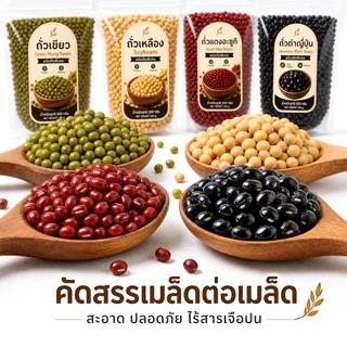 ถั่วพรีเมียม คัดพิเศษ ขนาด 500g ถั่วเขียว / ถั่วเหลือง / ถั่วแดงอะซูกิ / ถั่วดำญี่ปุ่น โปรตีนสูง ธรรมชาติ ไร้สาร