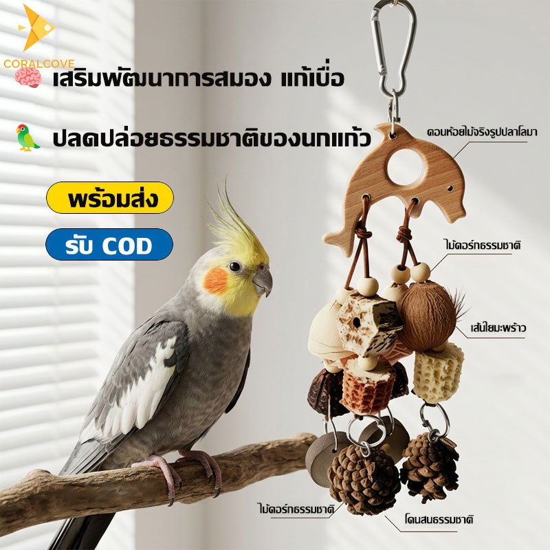 coralcoveshop ของเล่นกัดนกแก้ว รูปโลมา วัสดุธรรมชาติ ลูกป่า ตะเกีย แขวนกรงได้ กัดเล่นได้ปลอดภัย