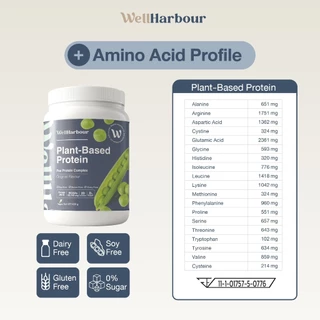 WellHarbour เซ็ท 3 กระปุก Pea Protein โปรตีนพืช โปรตีนแพลนท์ Pea Protein Complex [แถมแก้ว Shake]