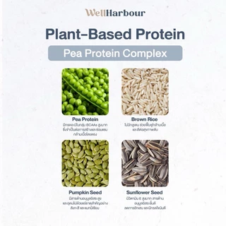 WellHarbour เซ็ท 3 กระปุก Pea Protein โปรตีนพืช โปรตีนแพลนท์ Pea Protein Complex [แถมแก้ว Shake]