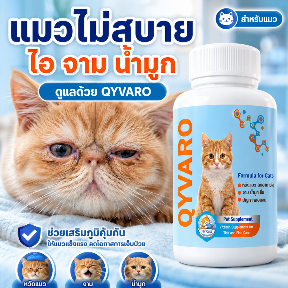 สร้างภูมิคุ้มกัน Qyvaro ดูแลระบบหายใจ แมวหวัด ไอ จาม น้ำมูกไหล เจ็บคอ ตาเจ็บ ซึม แมวแข็งแรง