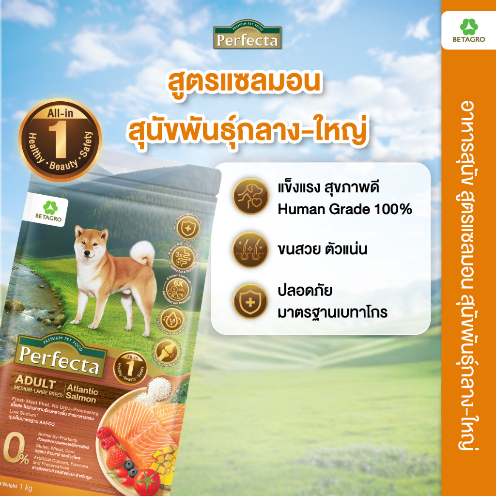Perfecta Wellness สุนัขโต กลาง-ใหญ่ สูตรแซลมอน 3 KG