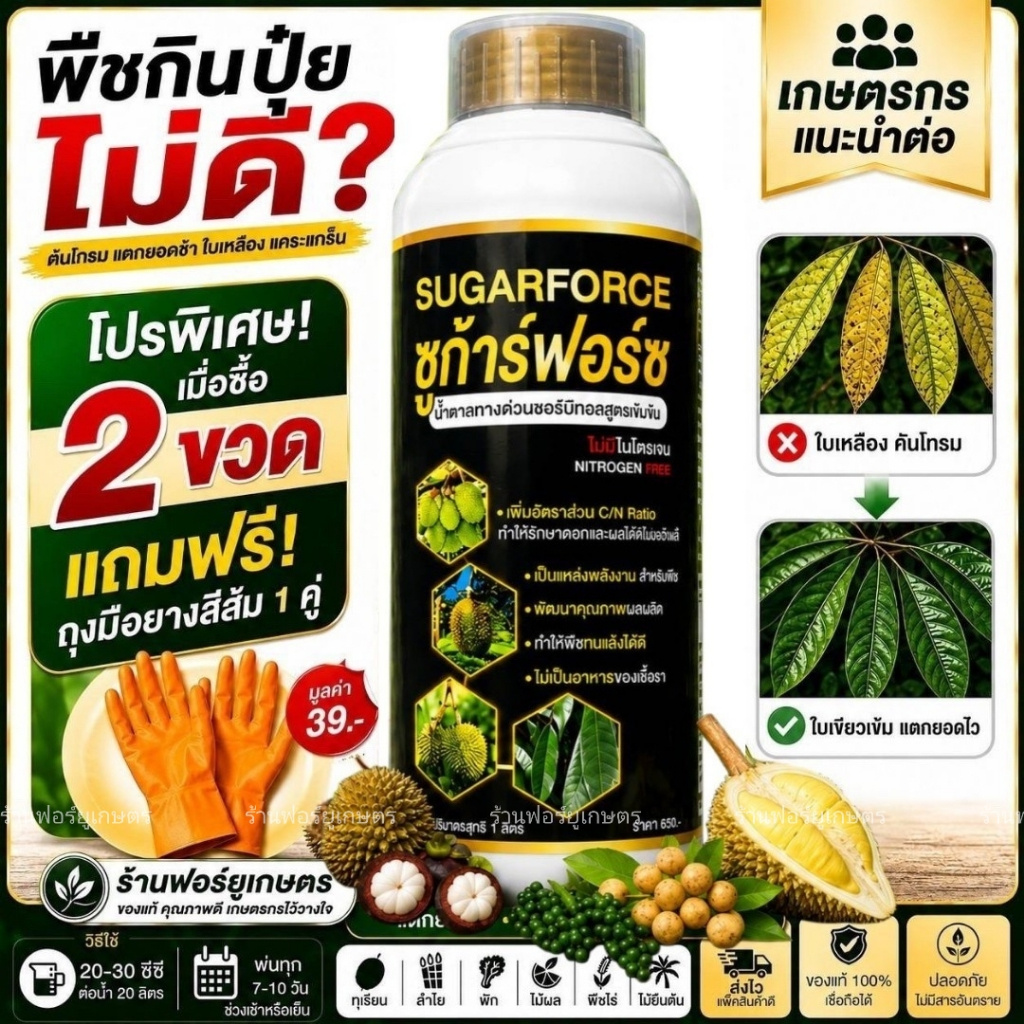 น้ำตาลทางด่วน 1 ลิตร ซูก้าร์ฟอร์ซ เร่งดูดซึมปุ๋ย เร่งแตกยอด ซื้อ 2 ขวด แถมฟรี! ถุงมือยาง 1 คู่