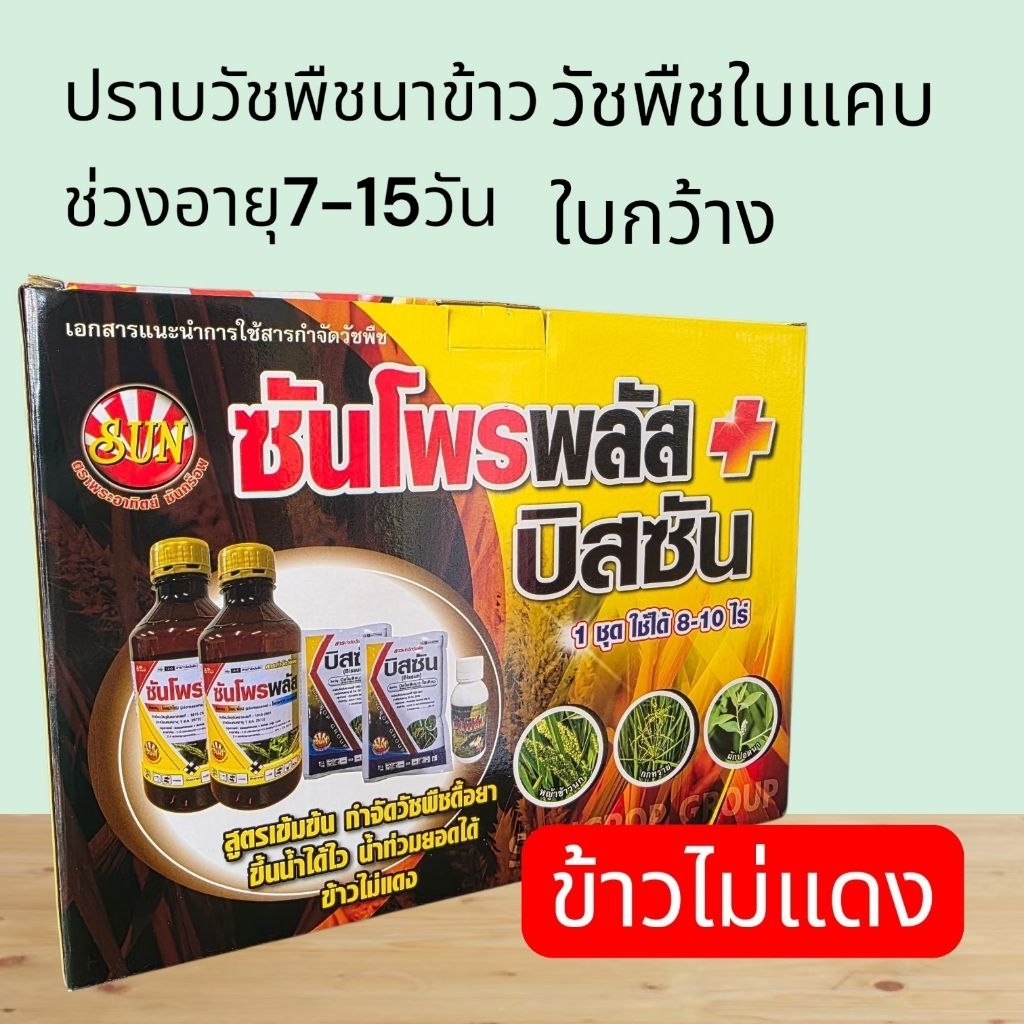 ซันโปรพลัส+บีสซัน กำจัดหญ้าในนานข้าว ช่วง7-12วันข้าวไม่แดงเช่นดอกขาวกกทรายหนวดแลาดุกผักปอดเทียนนาเป็นต้นใช้ได้8-10ไร่