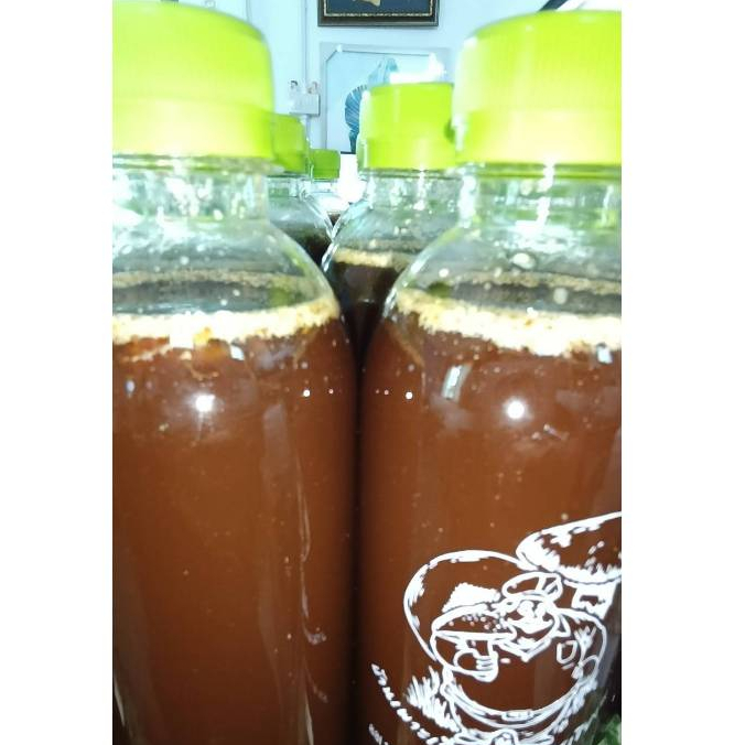 เชื้อเห็ดระโงกเหลือง ขนาด 500 ML.