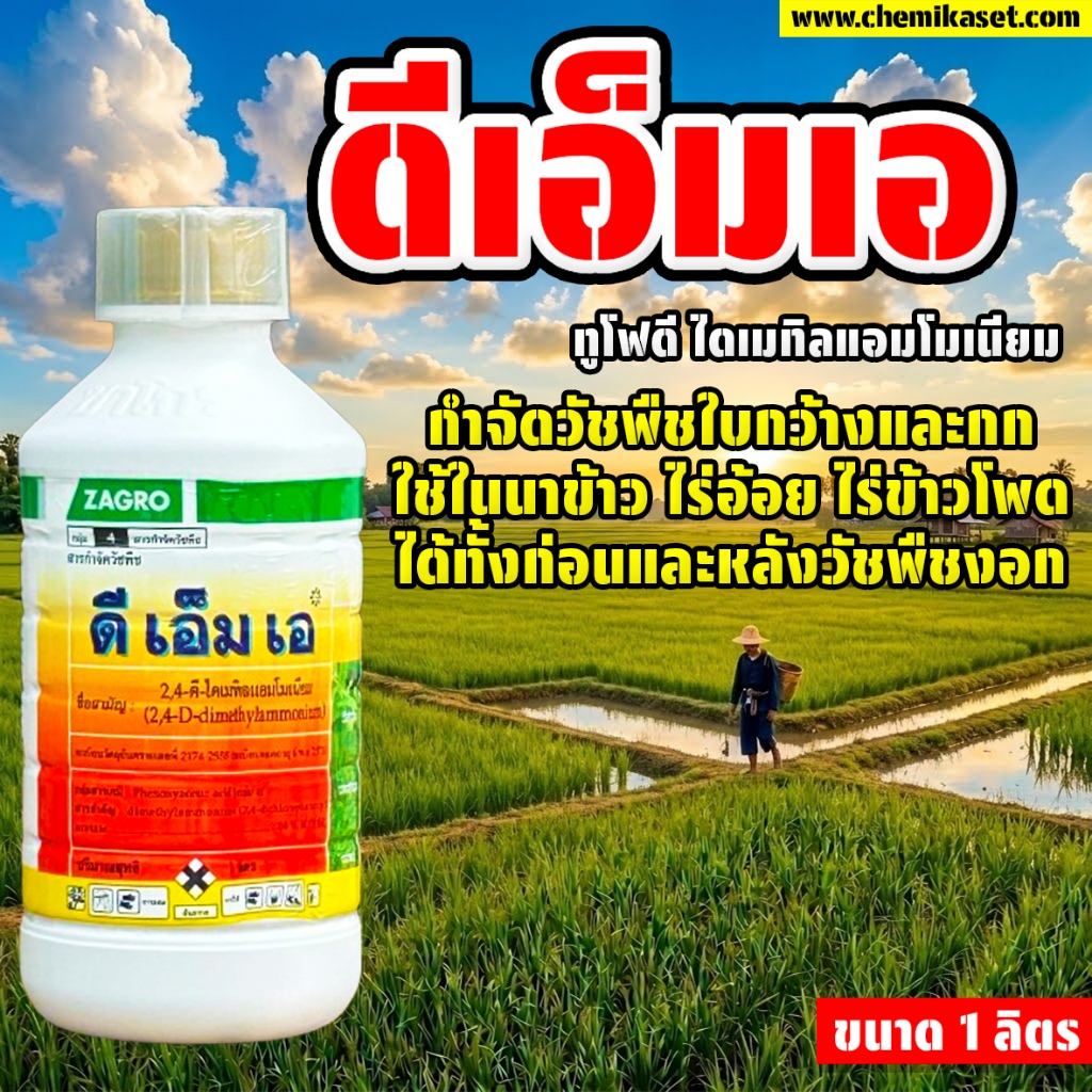 ดีเอ็มเอ ขนาด 1 ลิตร ทูโฟดี ไดเมทิลแอมโมเนียม กำจัดหญ้าวัชพืชใบกว้างและกก กำจัดหญ้ายาง ผักบุ้ง