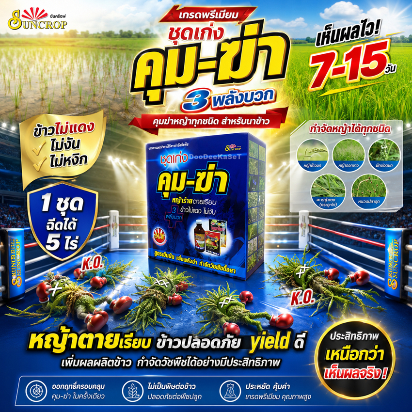 ชุดเก่ง คุม-ฆ่า 3 พลังบวก หญ้าในนาข้าว 5-6ไร่  คุม-ฆ่า 7-15 วัน กำจัดวัชพืชทั้งใบแคบและใบกว้าง