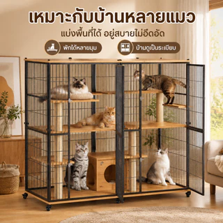 กรงแมวขนาดใหญ่ ที่นอนแมวพร้อมบัน วิลล่าแมวพร้อมห้องน้ำ กรงแมวในตัว บ้านพื้นที่ว่างในร่ม รังแมว