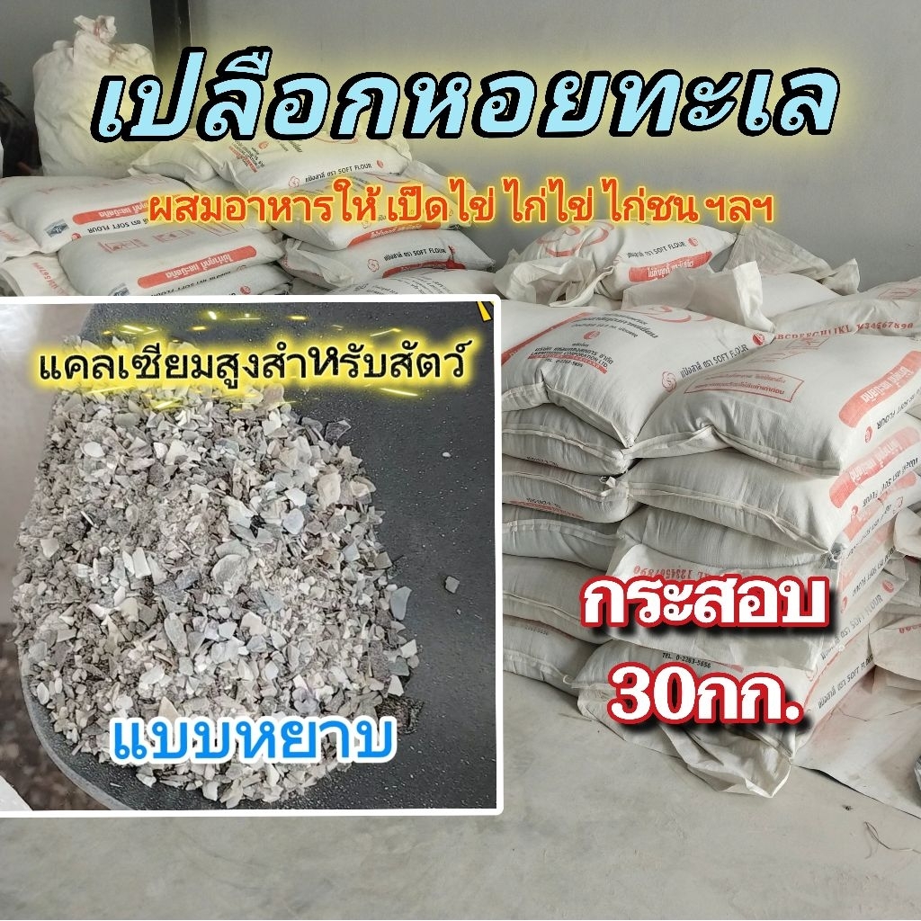 [30กก.]เปลือกหอยทะเล"หยาบ"สำหรับสัตว์