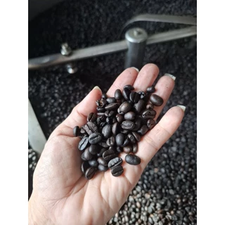 เมล็ดกาแฟอาราบิก้า ดอยช้าง 500g