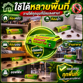 ที่ดักแมลงสาบ กาวดักแมลงสาบ 10 ชิ้น กับดักแมลงสาบ แผ่นดักแมลงสาบ ปลอดสารเคมี ไร้กลิ่น ใช้งานง่าย ดักได้จริง