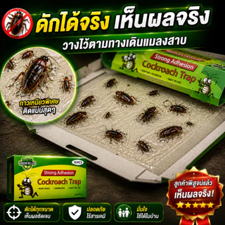 ที่ดักแมลงสาบ กาวดักแมลงสาบ 10 ชิ้น กับดักแมลงสาบ แผ่นดักแมลงสาบ ปลอดสารเคมี ไร้กลิ่น ใช้งานง่าย ดักได้จริง