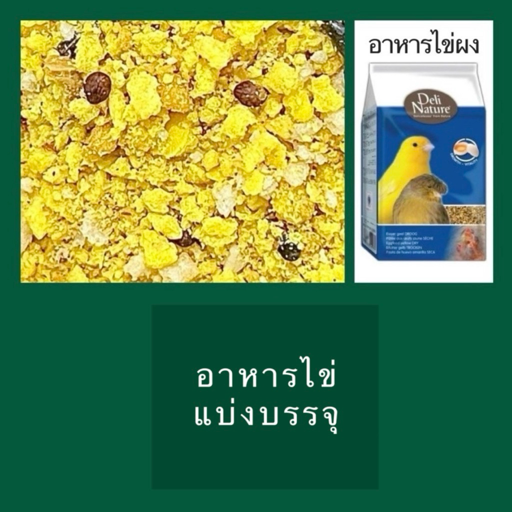 ⓅⓀⒻ อาหารไข่ผง Deli Nature Egg food dry อาหารนก