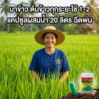 นาโนโปรพลัส นาโนพืช แร่ธาตุ อาหารหลักพืช 1 ขวด 100 เม็เ