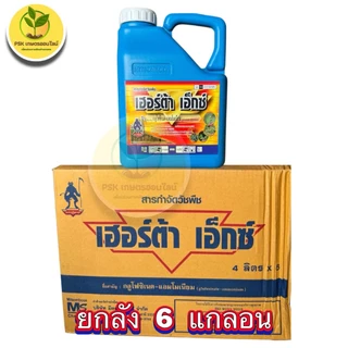 ***(ยกลัง6แกลอน)***เฮอร์ต้าเอ็กซ์ 4 ลิตร สารกลูโฟซิเนตแอมโมเนียม ยาฆ่าหญ้าเผาไหม้ ยิ่งแดดจัด ยิ่งดินแห้ง หญ้ายิ่งตายดี