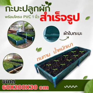 【สินค้าพร้อมส่ง】กระบะปลูกผักสวนครัว แปลงปลูกผัก ขนาด​ 60x200x30 cm แปลงผักเพาะปลูก กะบะเพาะปลูก