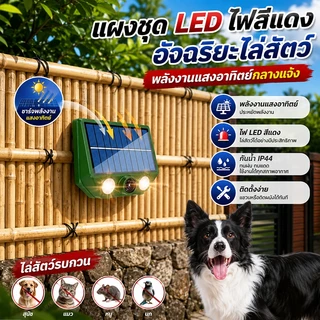 10000เมตรไม่มีนก🦅เครื่องไล่นก ชาร์จด้วยพลังงานแสงอาทิตย์ รอัลตราโซนิกอุปกรณ์ ไล่นกพิราบถาวร เครื่องไล่สัตว์ ไล่นกพิราบ