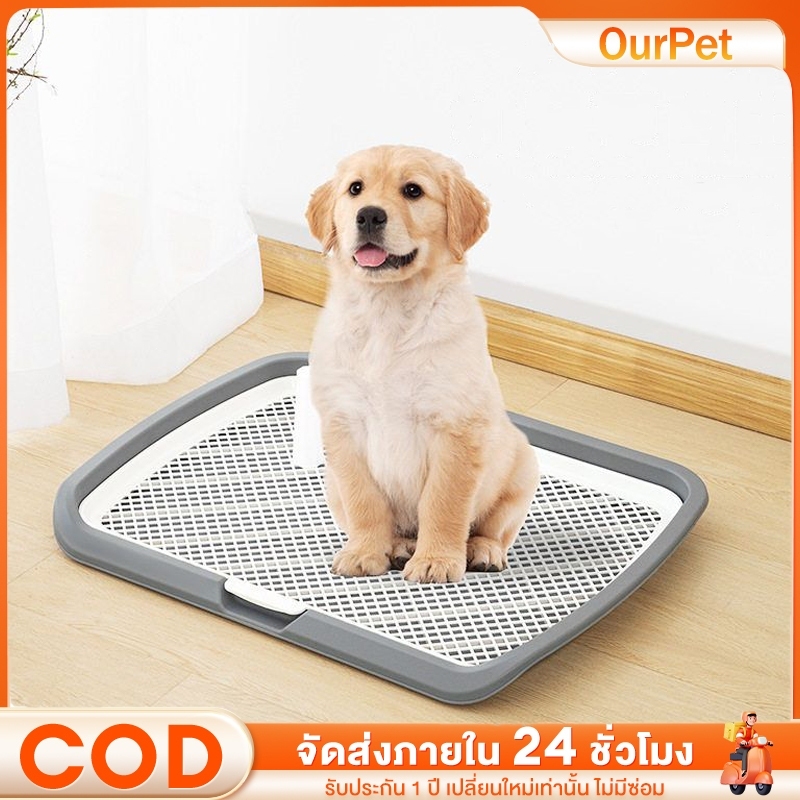 เสาให้น้องเล็ง ถาด ที่มี ห้องน้ำสุนัข Dog Toilet tray กระโถนในร่มแบบ ทำความสะอาดง่าย มีตะแกรงรองถาด