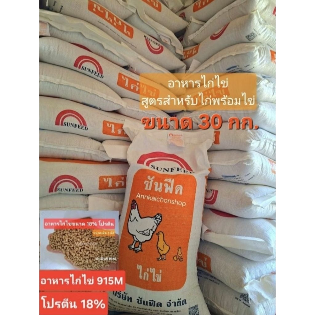 #อาหารไก่ไข่ #อาหารไก่ไข่915เอ็ม #อาหารไก่ไข่ซันฟีดขนาด30กก.#อาหารไก่ไข่ราคาถูก