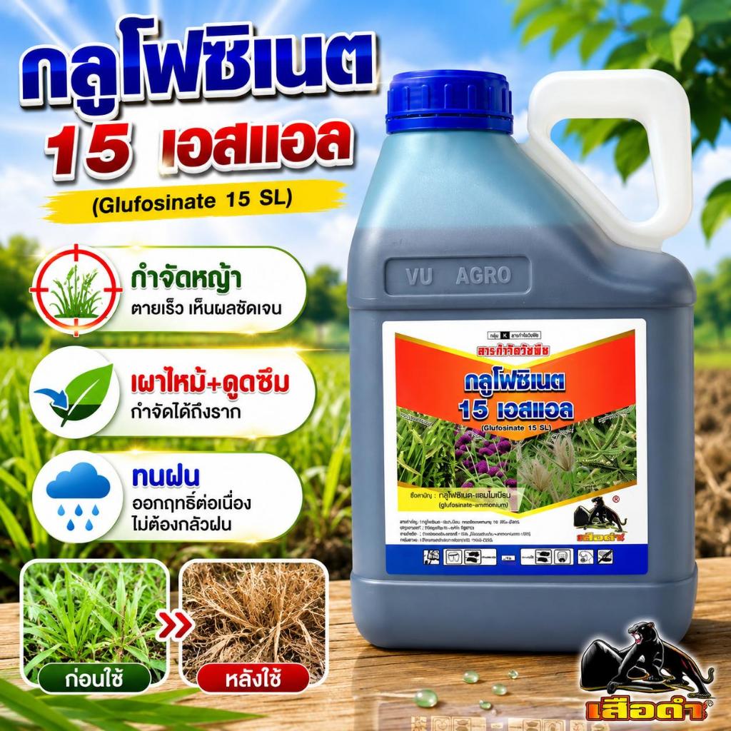 #กลูโฟซิเนต แอมโมเนียม ขนาด 4 ลิตร สูตรเผาไหม้ #ร้านปุ๋ยดีเด่น