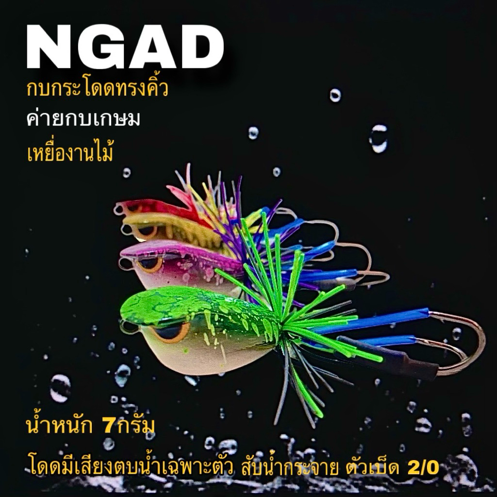 กบกระโดดทรงคิ้วขนาด3.5เซน งานไม้. (ราคาโปรเฉพาะเดือนนี้