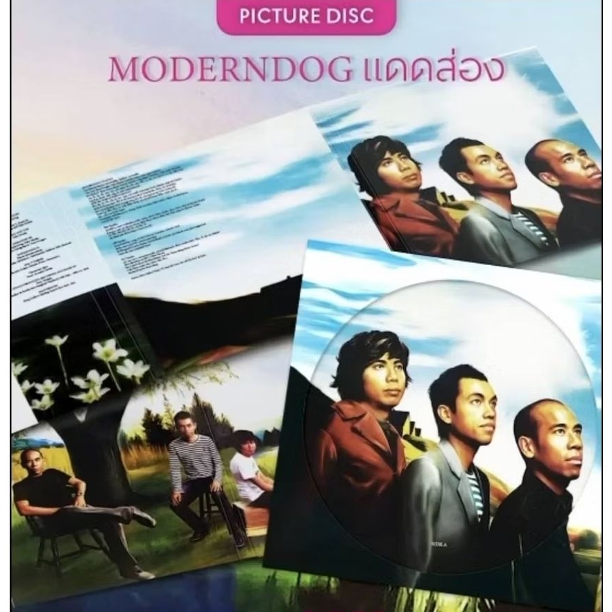 [พร้อมส่ง]แผ่นเสียง Moderndog อัลบัม แดดส่อง ทำในรูปแบบ Picture Disc โปรเจค 30th Anniversary Moderndog modern dog โมเดิ
