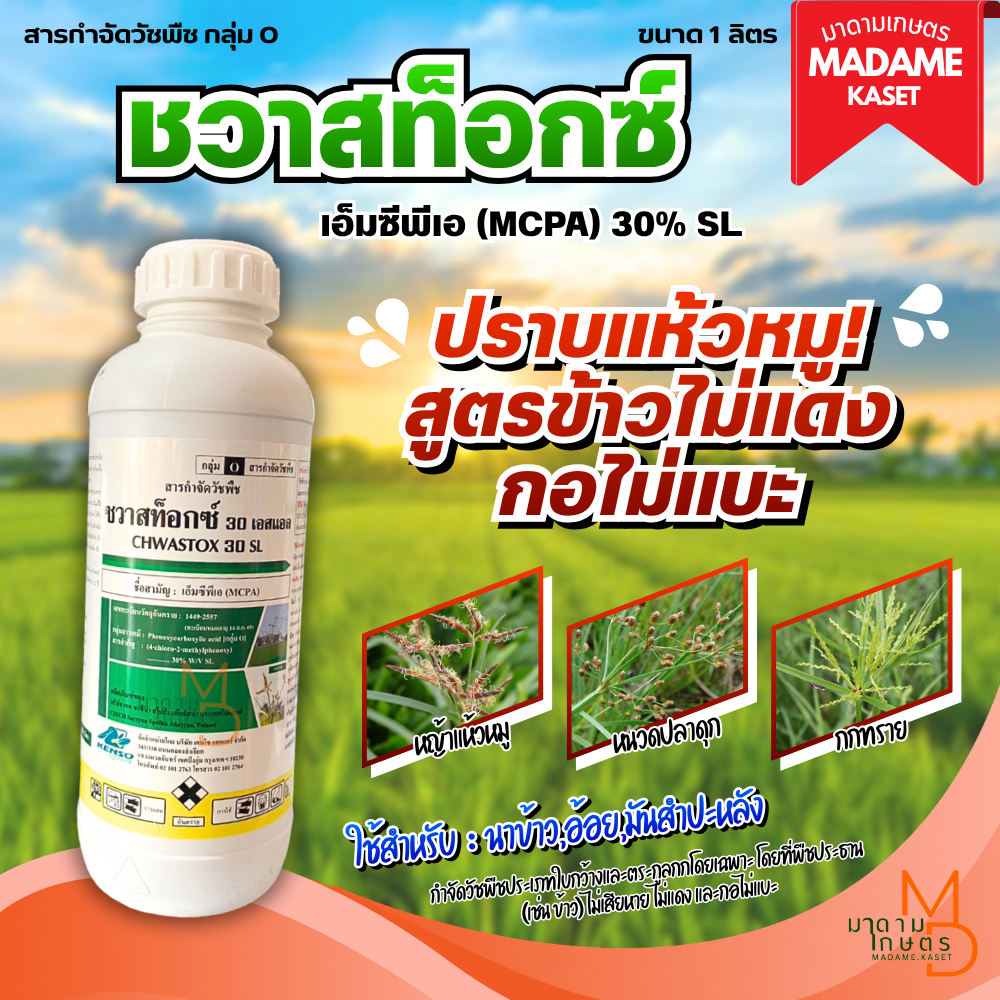 ชวาสท็อกซ์ (เอ็มซีพีเอ) 1 ลิตร สูตรไม่มีกลิ่น เก่งหญ้าแห้วหมู หนวดปลาดุก กกทราย หญ้าประเภทใบกว้าง