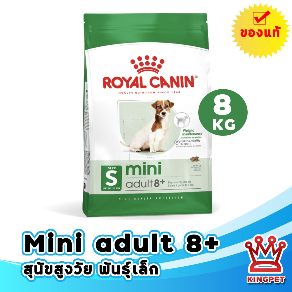 [EXP6/2027] Royal canin Mini adult 8+ 8 กก. อาหารสุนัขสูงวัย 8 ปีขึ้นไปพันธุ์เล็ก